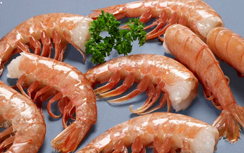 Gambão Argentino