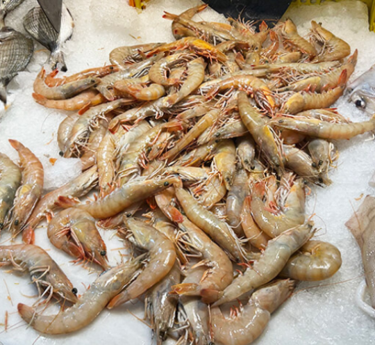 Camarão da Tunisia