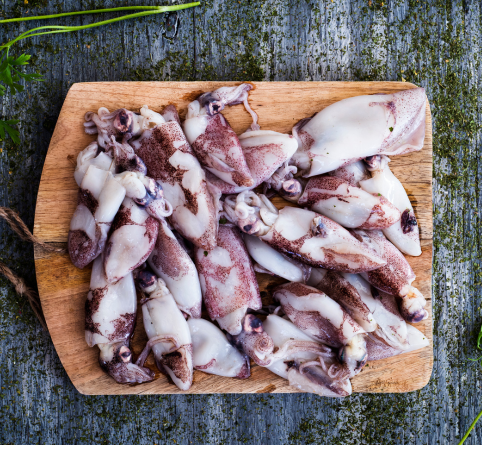 Lula Pequena (Loligo Duvaucelli)