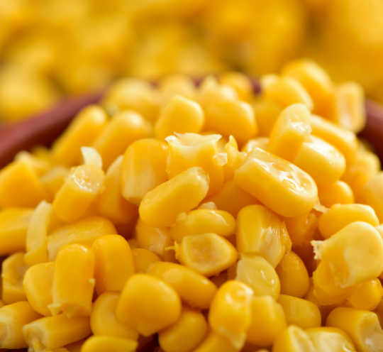 Milho Doce